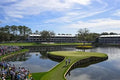 TPC Sawgrass 17th Hole